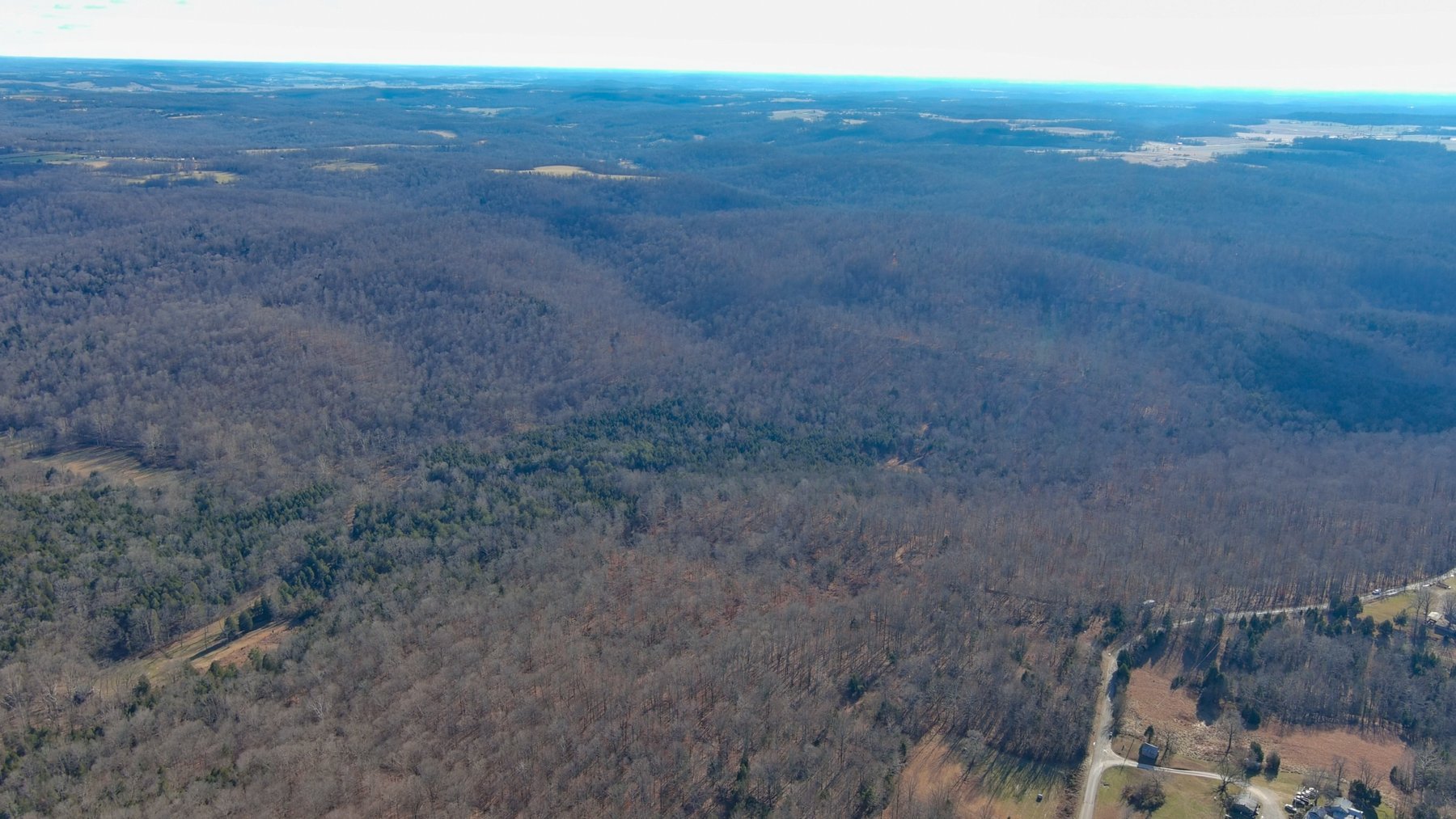 Image for Online Land Auction – 176.452± Acres – Payneville, KY