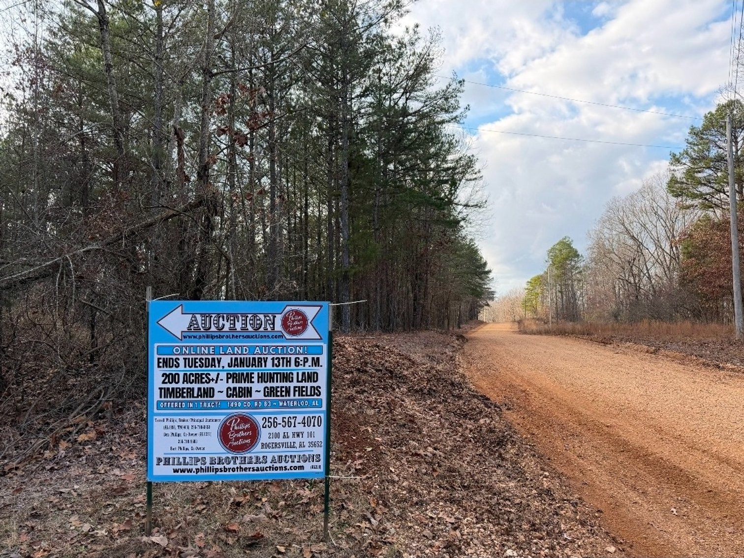 Image for ONLINE AUCTION!  200 Acres+/- Prime Hunting Land ~ Timberland ~ Cabin ~ Green Fields