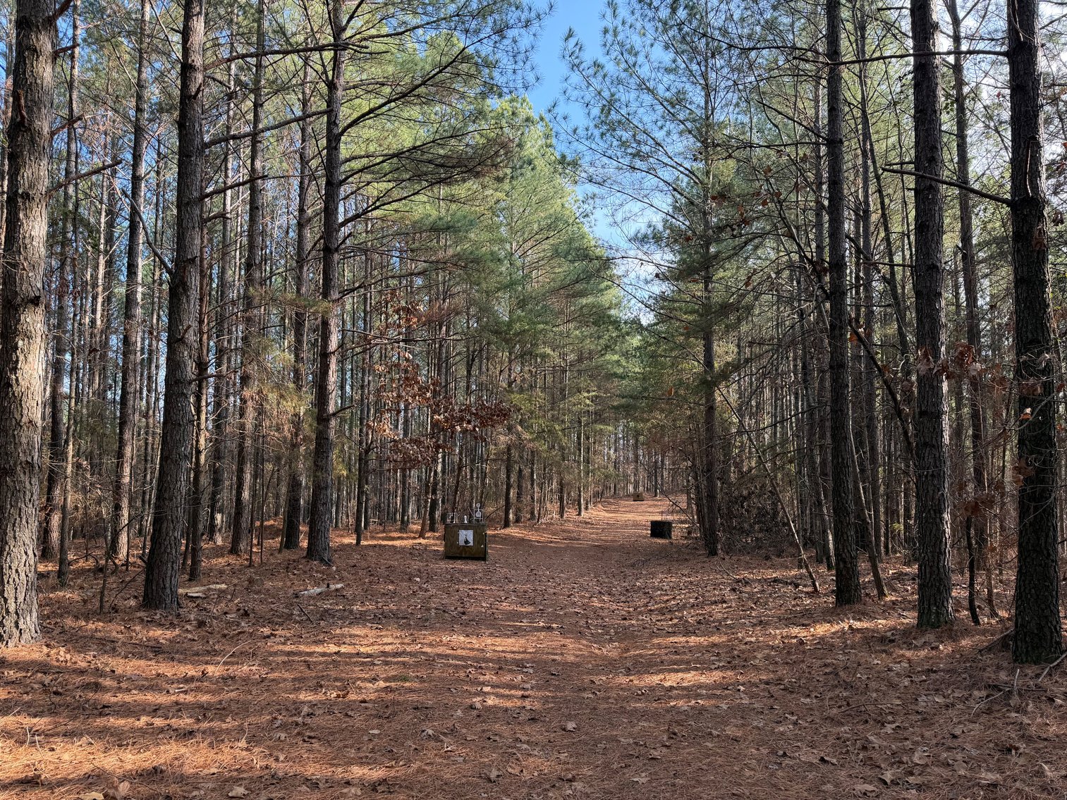 Image for ONLINE AUCTION!  200 Acres+/- Prime Hunting Land ~ Timberland ~ Cabin ~ Green Fields