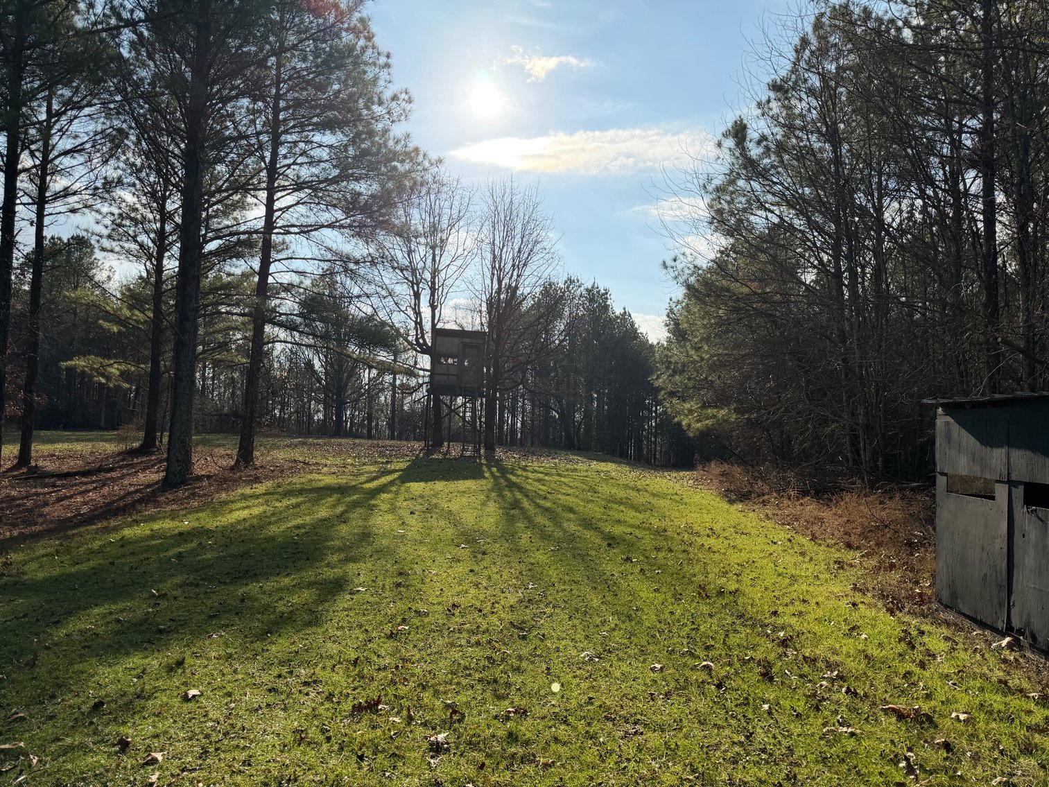 Image for ONLINE AUCTION!  200 Acres+/- Prime Hunting Land ~ Timberland ~ Cabin ~ Green Fields