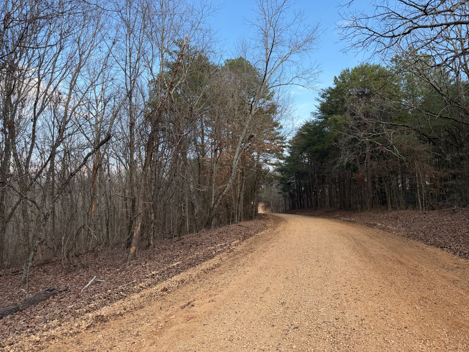 Image for ONLINE AUCTION!  200 Acres+/- Prime Hunting Land ~ Timberland ~ Cabin ~ Green Fields