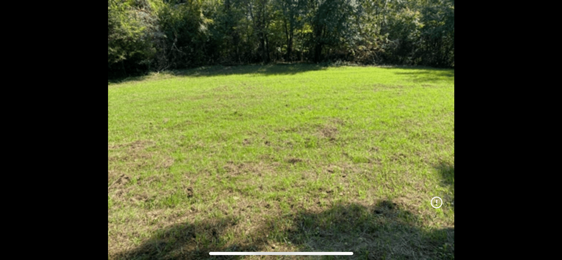 Image for ONLINE AUCTION!  200 Acres+/- Prime Hunting Land ~ Timberland ~ Cabin ~ Green Fields