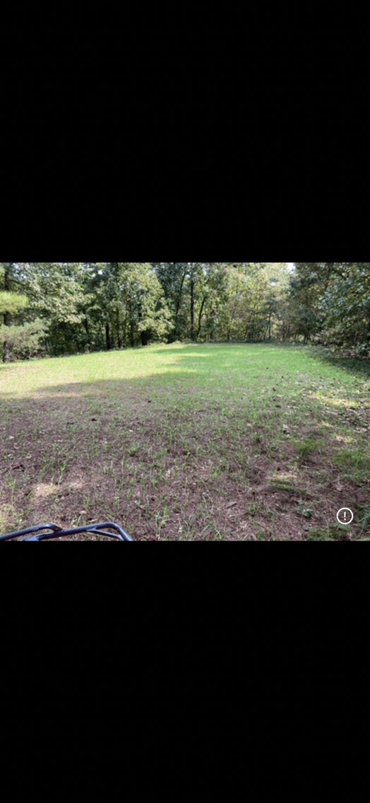 Image for ONLINE AUCTION!  200 Acres+/- Prime Hunting Land ~ Timberland ~ Cabin ~ Green Fields
