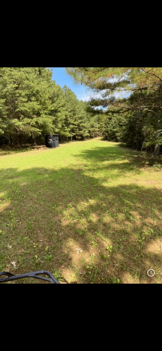 Image for ONLINE AUCTION!  200 Acres+/- Prime Hunting Land ~ Timberland ~ Cabin ~ Green Fields