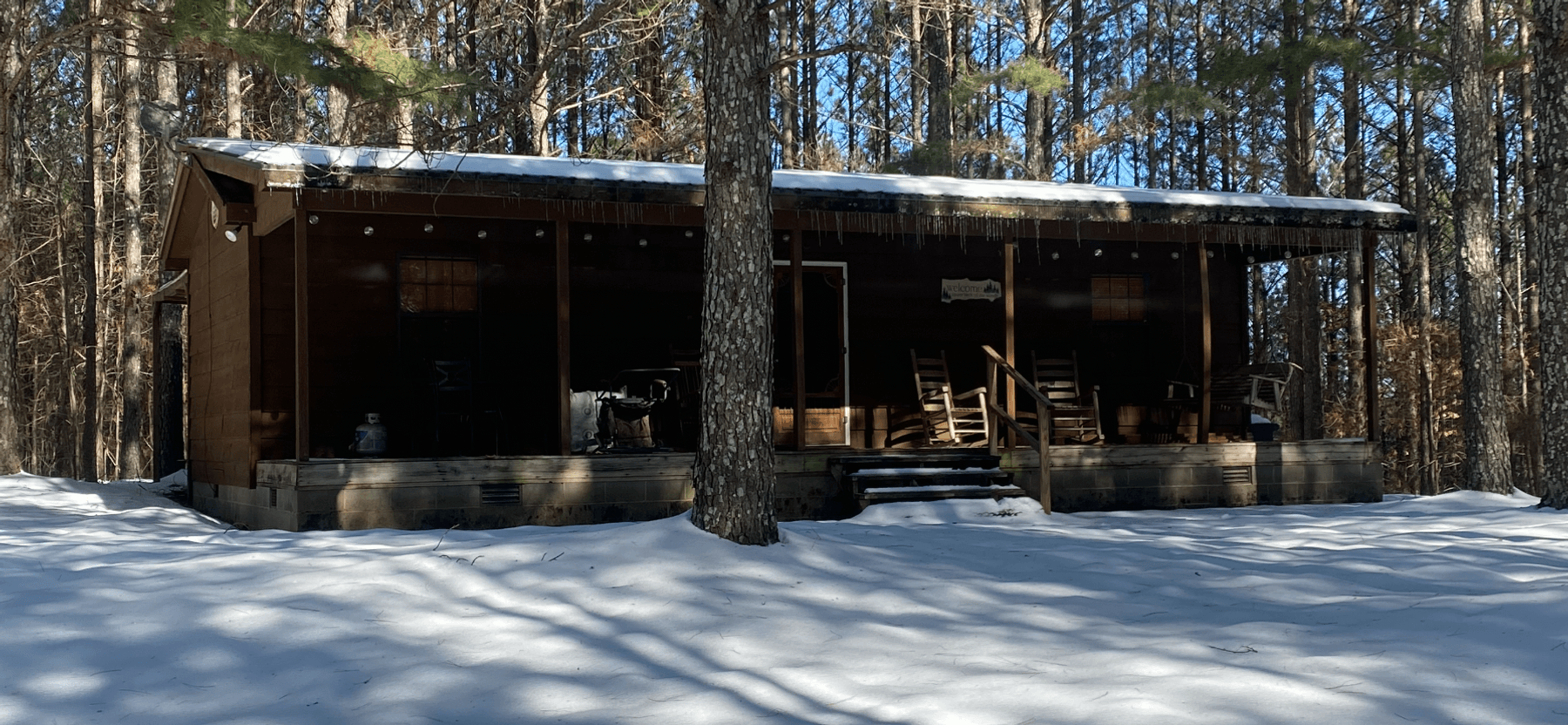 Image for ONLINE AUCTION!  200 Acres+/- Prime Hunting Land ~ Timberland ~ Cabin ~ Green Fields