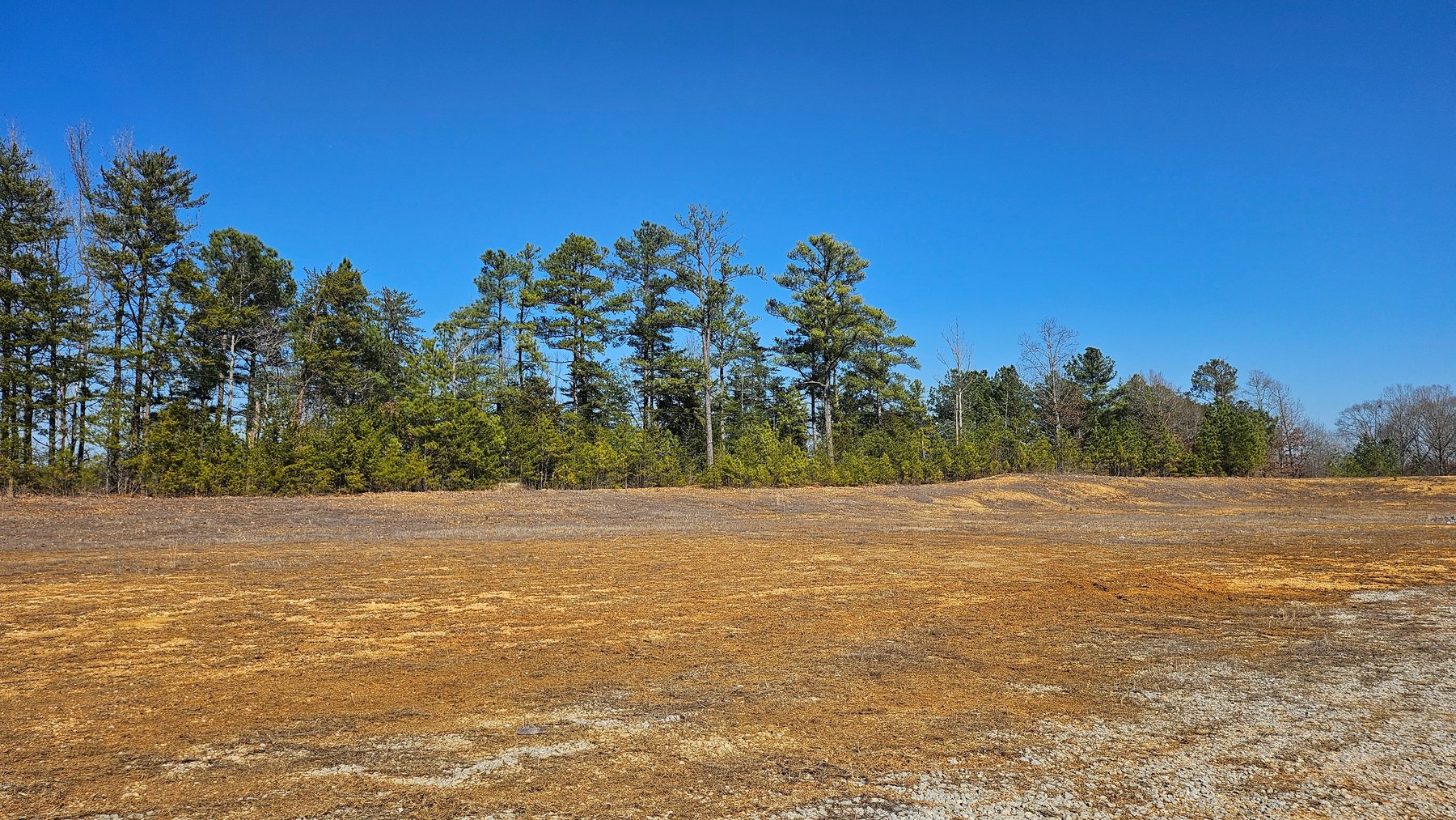 Image for ONLINE AUCTION!  9.26 Acres +/- Corner of Hwy 72 & Mountain Brook Dr. • Killen, AL