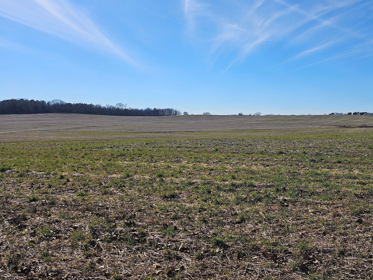Image for LIVE ONSITE AUCTION!  119.86 Acres+/- Open Ground In Tracts Near Florence, AL!