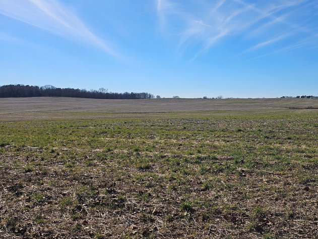Image for LIVE ONSITE AUCTION!  119.86 Acres+/- Open Ground In Tracts Near Florence, AL!