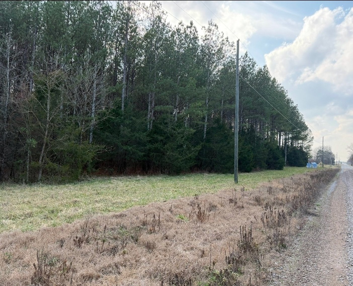 Image for ABSOLUTE ONLINE LAND AUCTION!  115.8 Acres+/- in 3 Tracts ~ 
