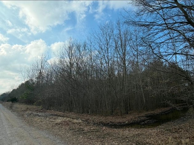 Image for ABSOLUTE ONLINE LAND AUCTION!  115.8 Acres+/- in 3 Tracts ~ 