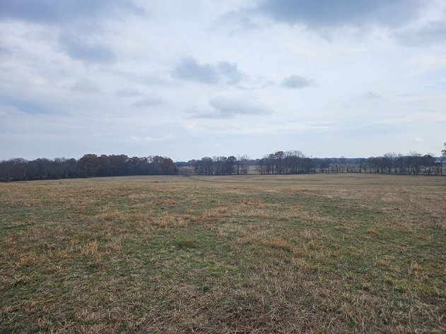 Image for SOLD!!!  ONLINE LAND AUCTION!  74.96 Acres+/- fenced with creek near 