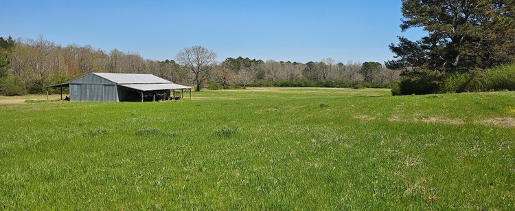 Image for Live Onsite Farm & Retirement Auction!  Jasper, AL!