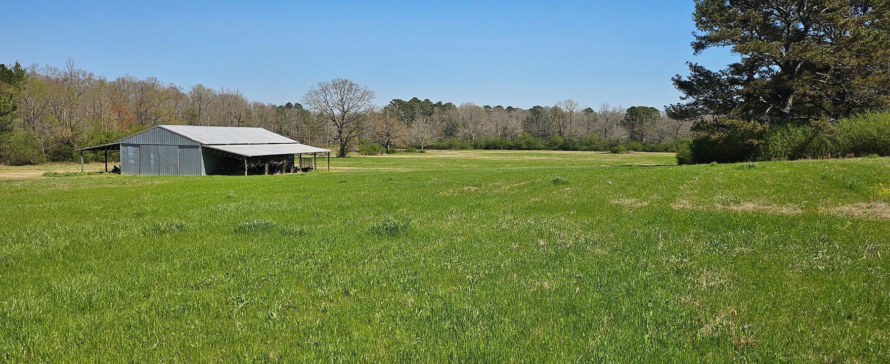 Image for Live Onsite Farm & Retirement Auction!  Jasper, AL!