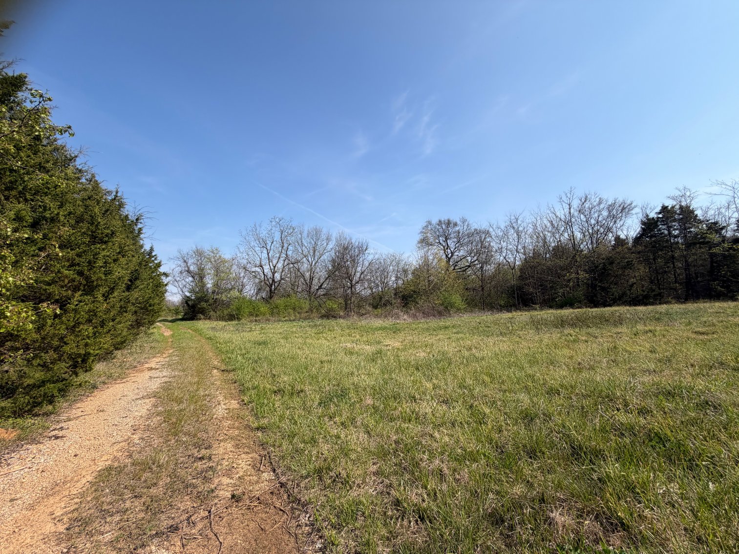 Image for Absolute Online Land Auction!  60 Acres+/- Mt. Hope, Alabama