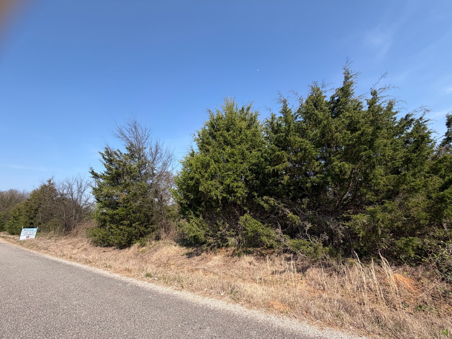 Image for Absolute Online Land Auction!  60 Acres+/- Mt. Hope, Alabama