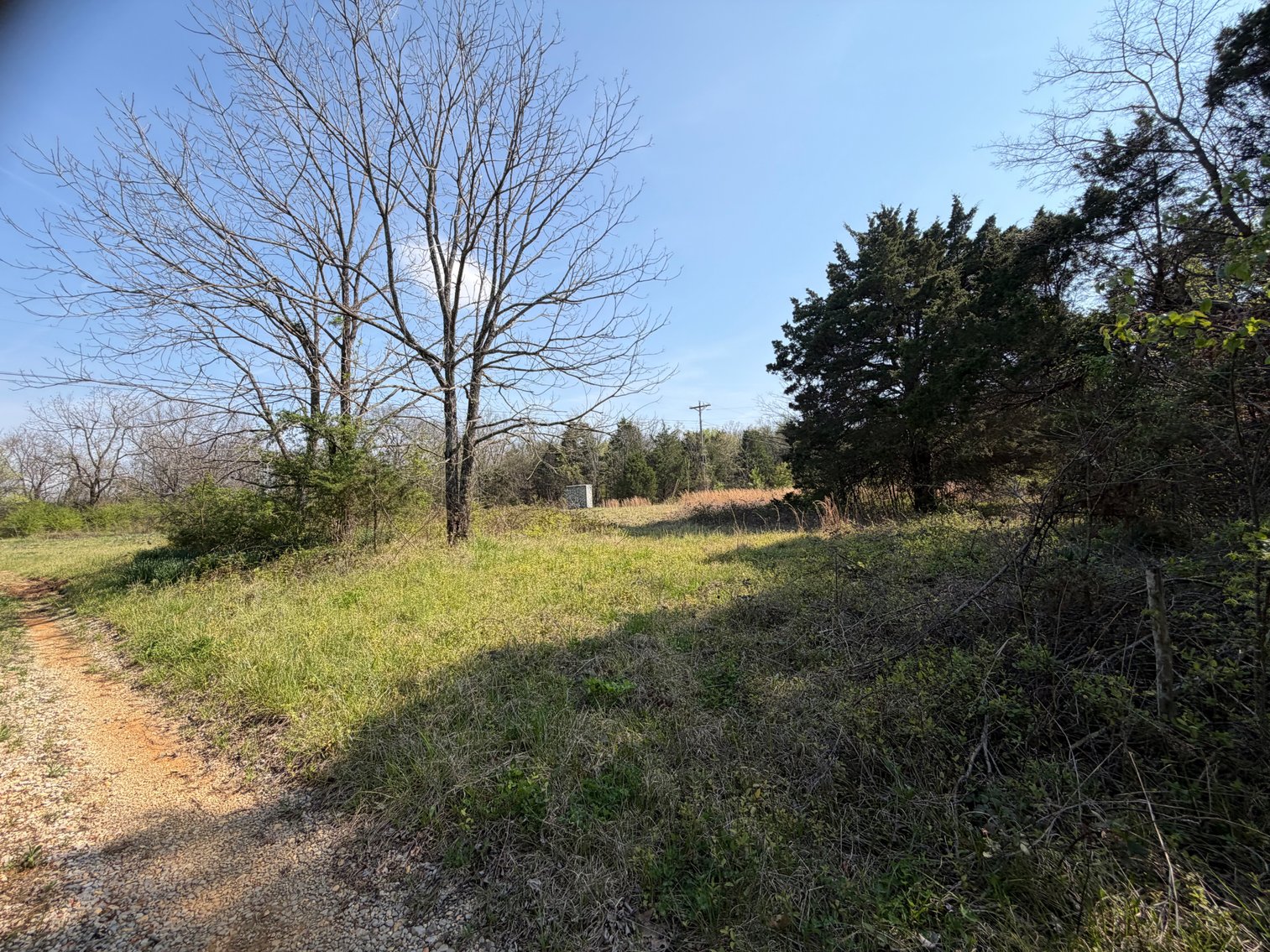 Image for Absolute Online Land Auction!  60 Acres+/- Mt. Hope, Alabama