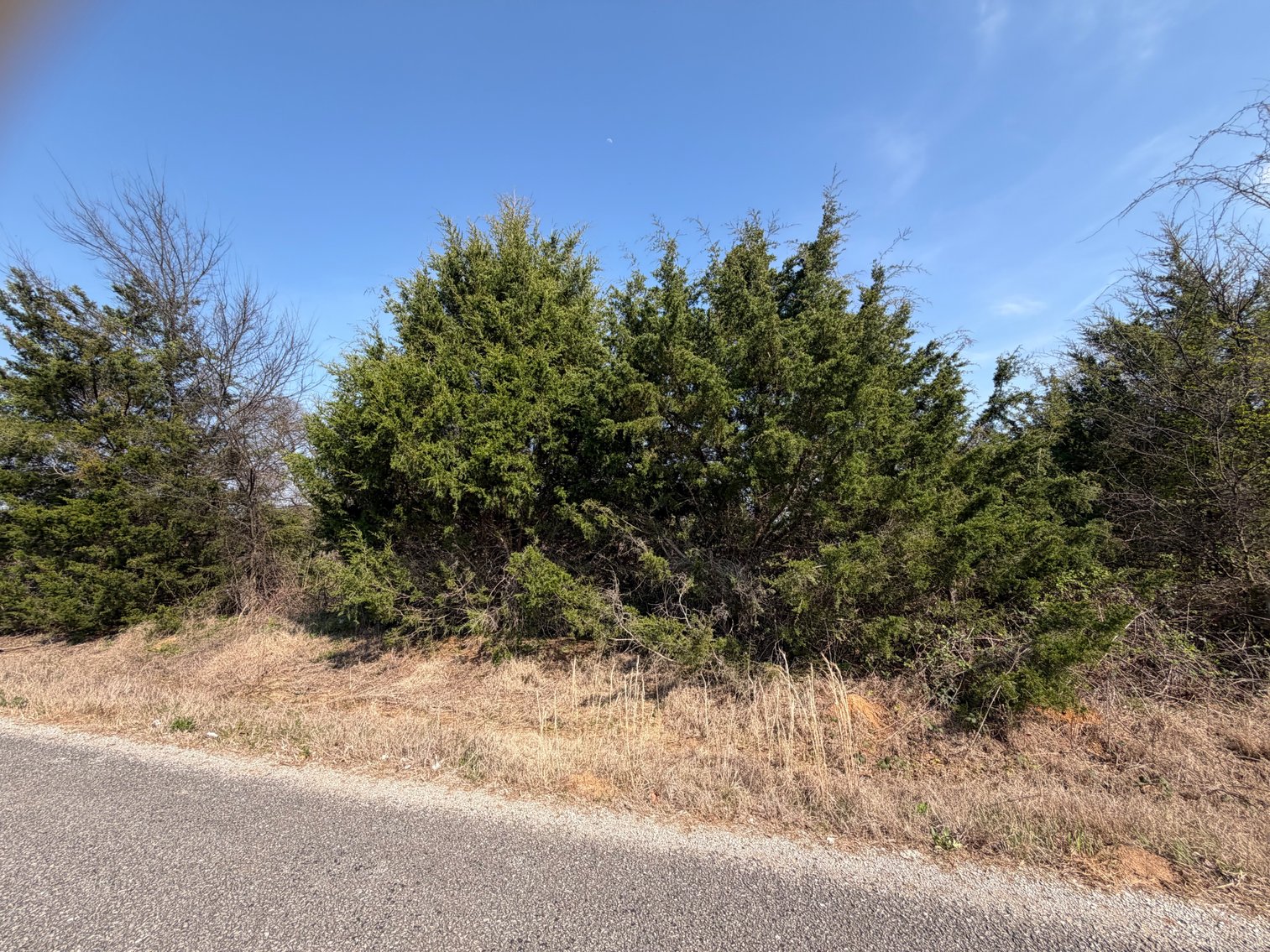Image for Absolute Online Land Auction!  60 Acres+/- Mt. Hope, Alabama