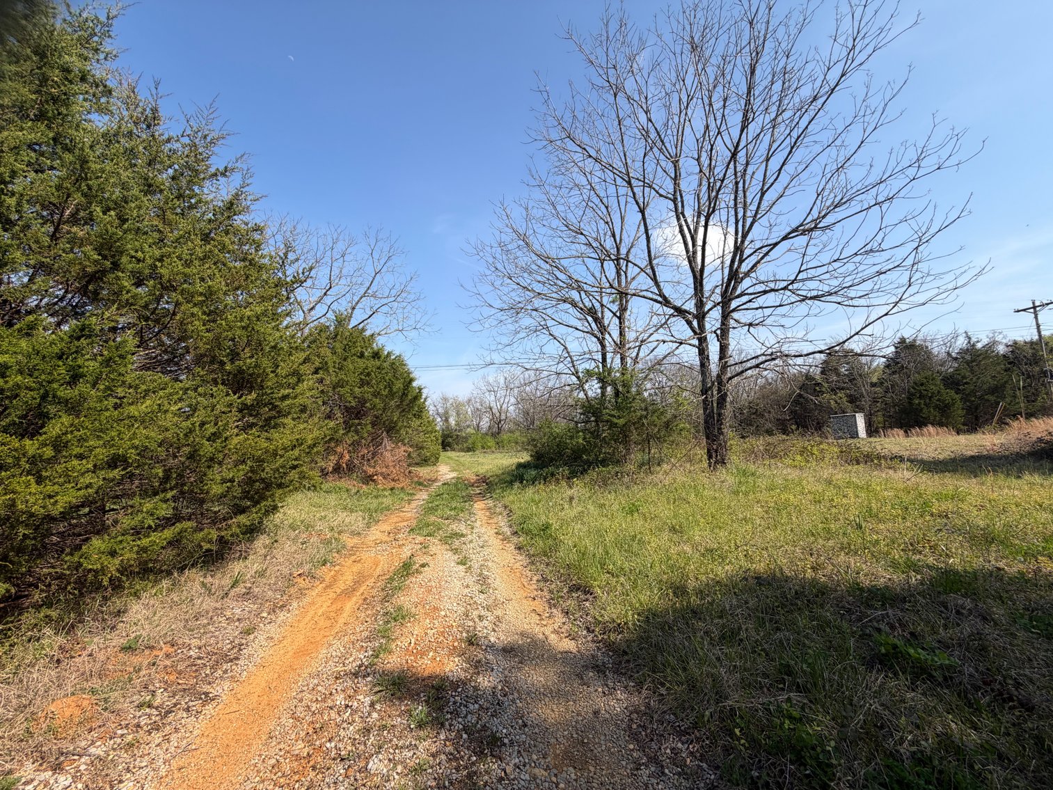 Image for Absolute Online Land Auction!  60 Acres+/- Mt. Hope, Alabama