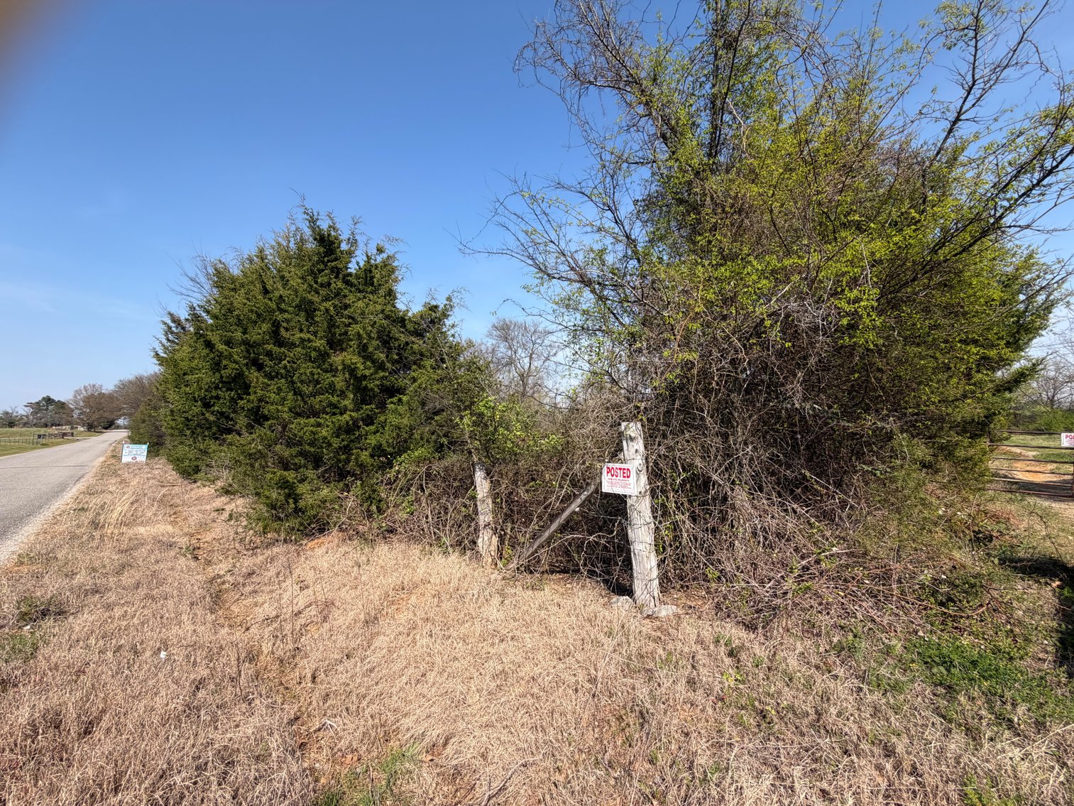 Image for Absolute Online Land Auction!  60 Acres+/- Mt. Hope, Alabama