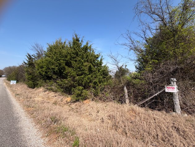 Image for Absolute Online Land Auction!  60 Acres+/- Mt. Hope, Alabama