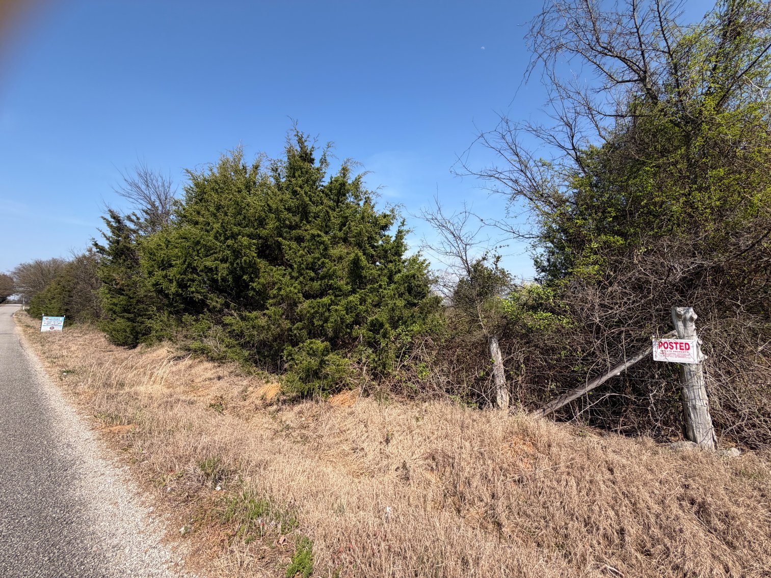 Image for Absolute Online Land Auction!  60 Acres+/- Mt. Hope, Alabama