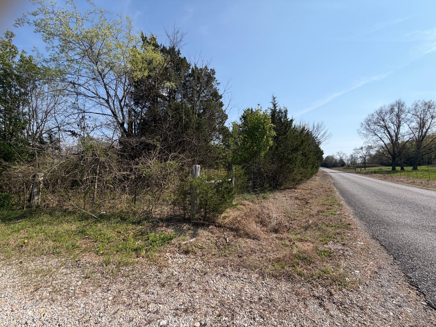 Image for Absolute Online Land Auction!  60 Acres+/- Mt. Hope, Alabama