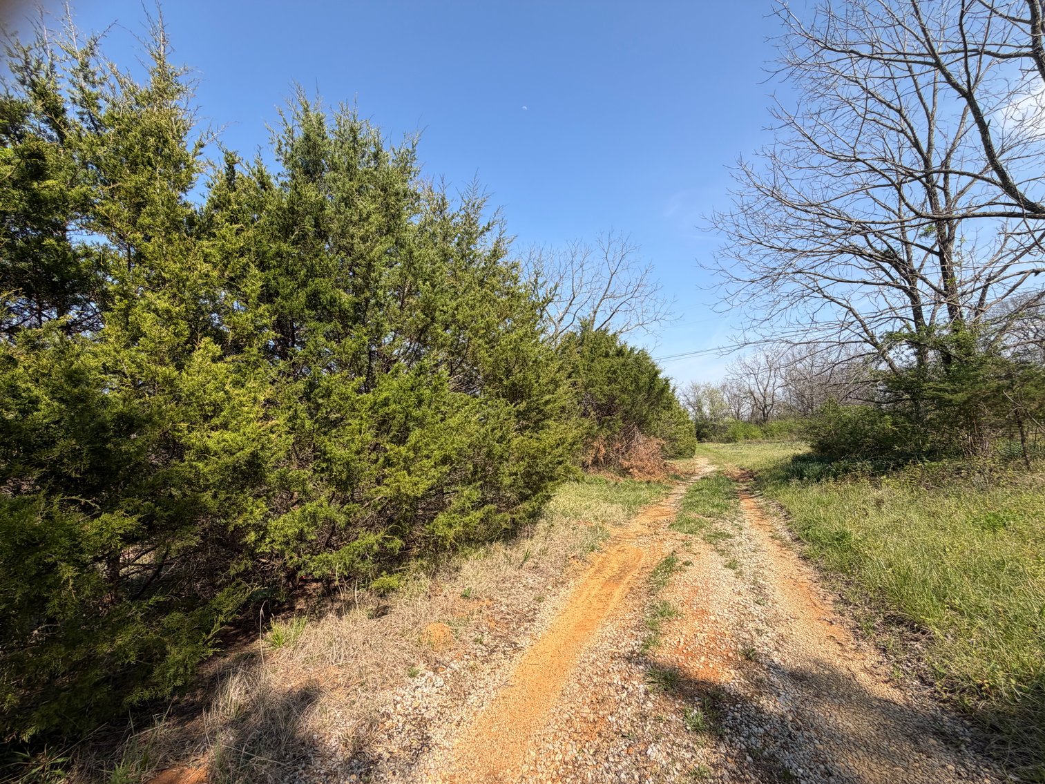 Image for Absolute Online Land Auction!  60 Acres+/- Mt. Hope, Alabama