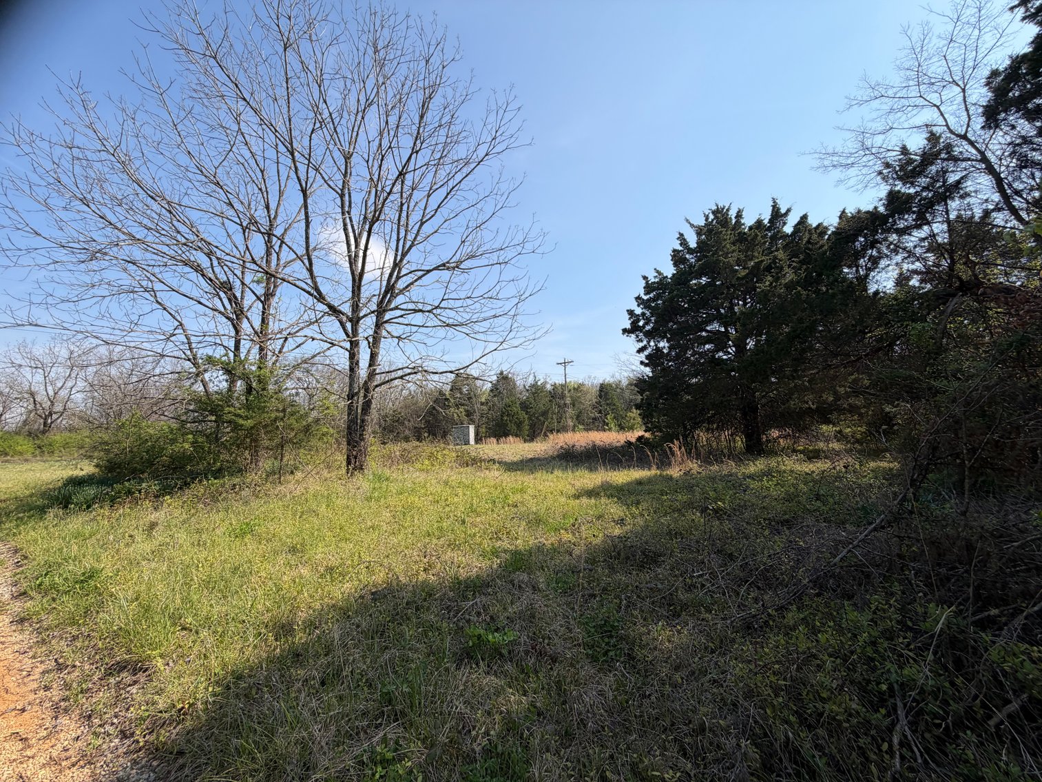 Image for Absolute Online Land Auction!  60 Acres+/- Mt. Hope, Alabama