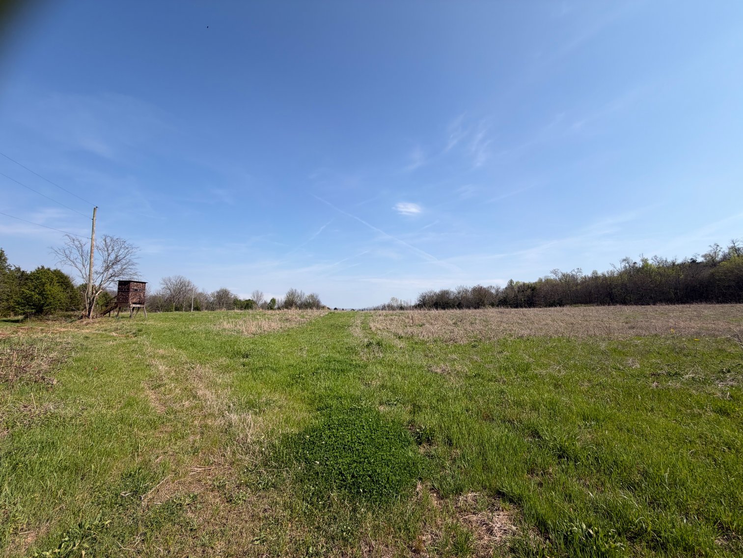 Image for Absolute Online Land Auction!  60 Acres+/- Mt. Hope, Alabama