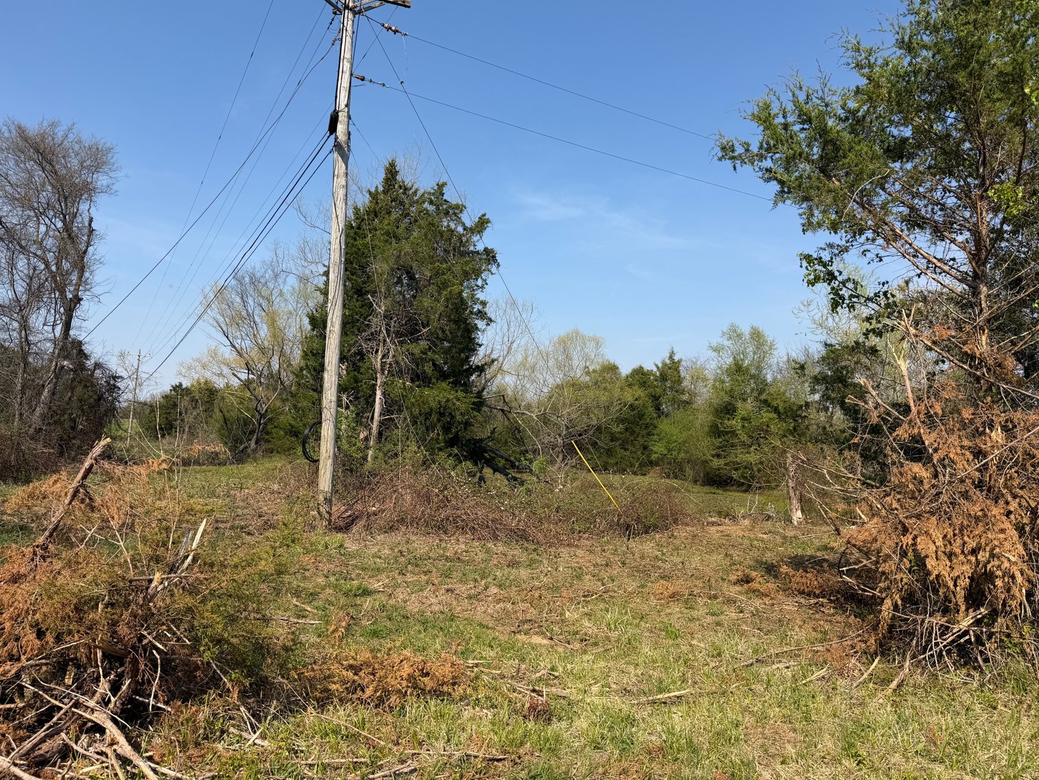 Image for Absolute Online Land Auction!  60 Acres+/- Mt. Hope, Alabama