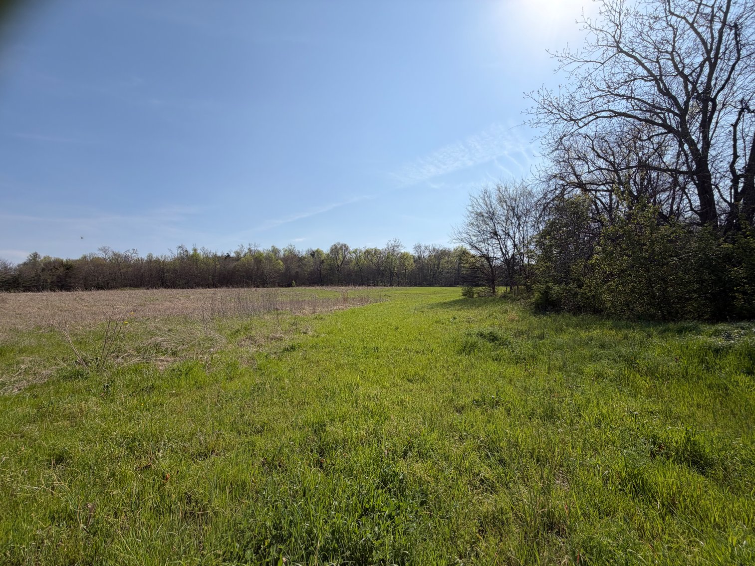 Image for Absolute Online Land Auction!  60 Acres+/- Mt. Hope, Alabama