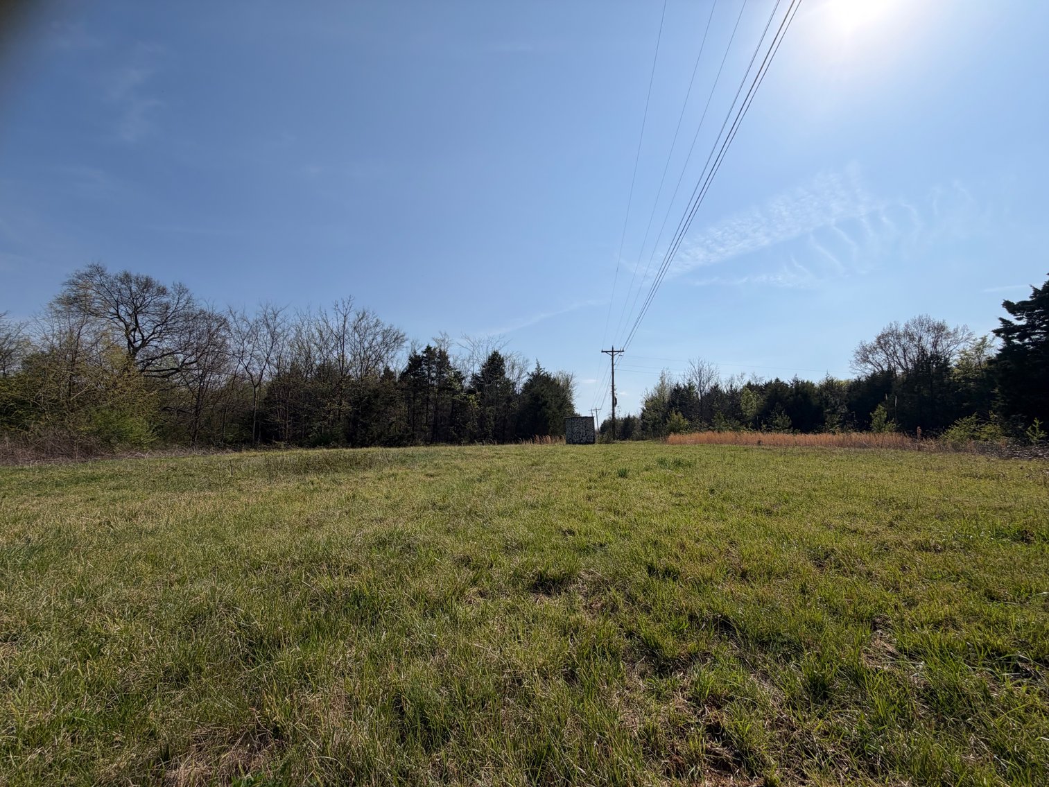 Image for Absolute Online Land Auction!  60 Acres+/- Mt. Hope, Alabama