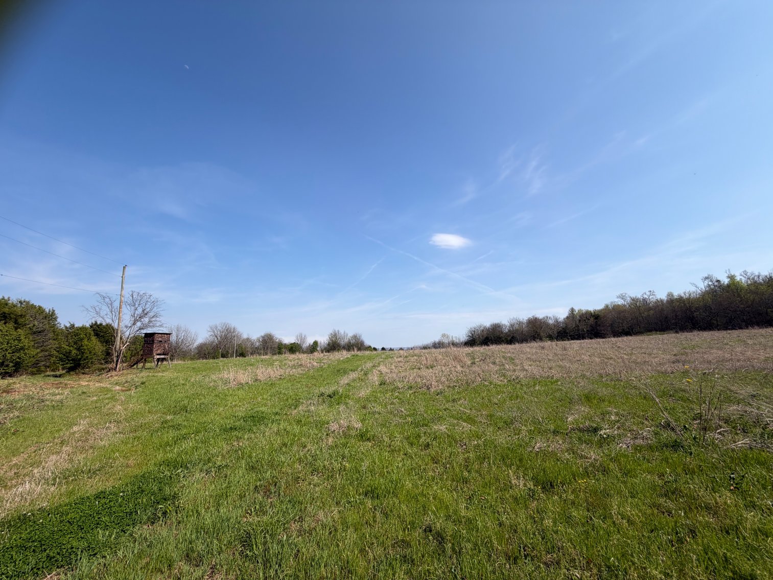 Image for Absolute Online Land Auction!  60 Acres+/- Mt. Hope, Alabama