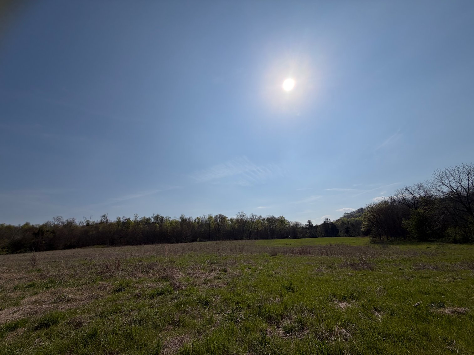 Image for Absolute Online Land Auction!  60 Acres+/- Mt. Hope, Alabama
