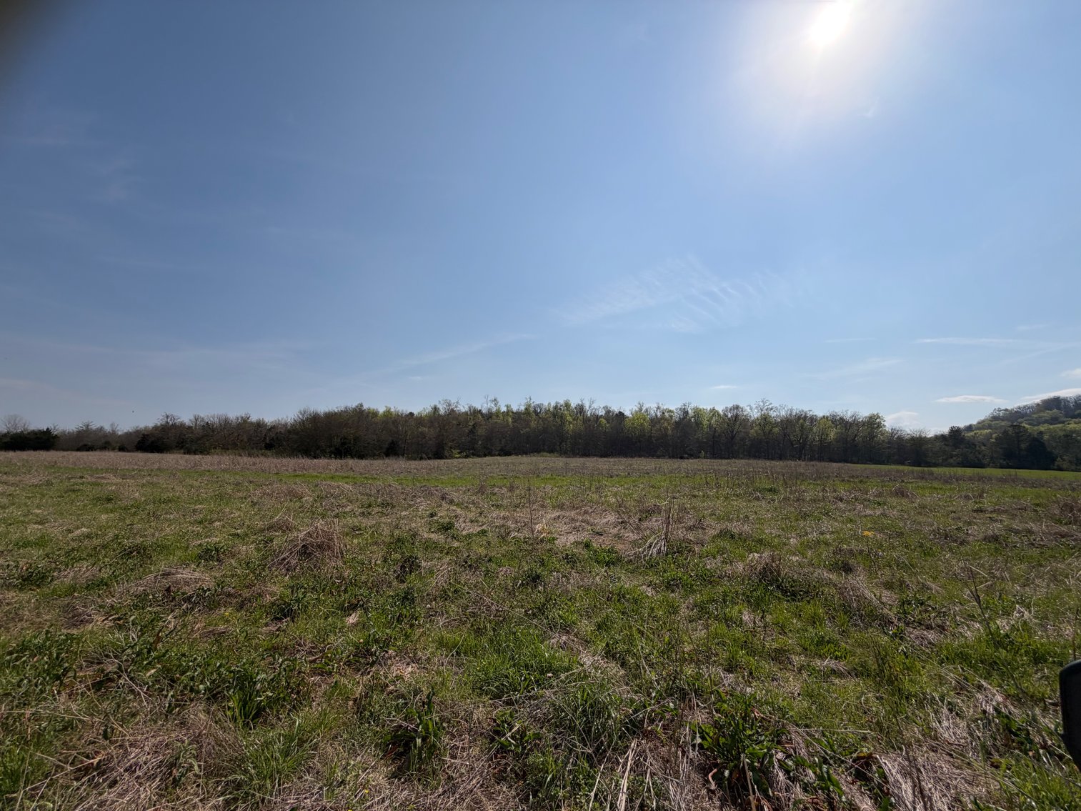 Image for Absolute Online Land Auction!  60 Acres+/- Mt. Hope, Alabama