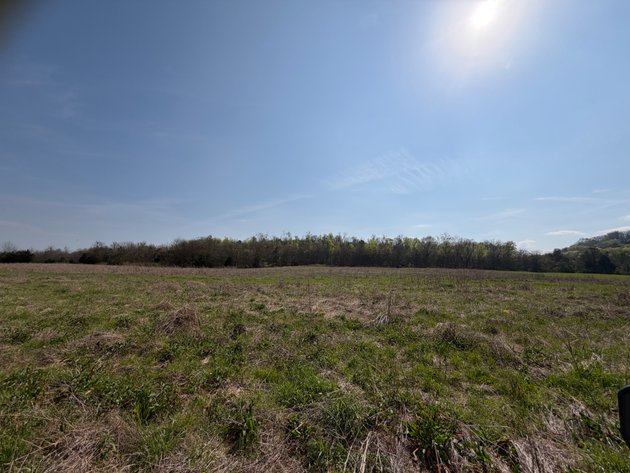 Image for Absolute Online Land Auction!  60 Acres+/- Mt. Hope, Alabama