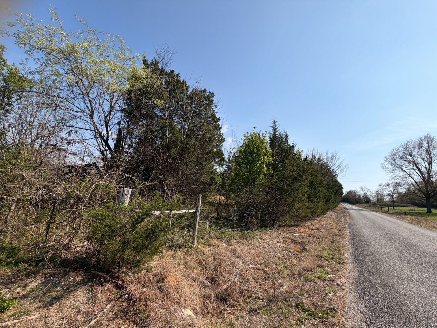 Image for Absolute Online Land Auction!  60 Acres+/- Mt. Hope, Alabama