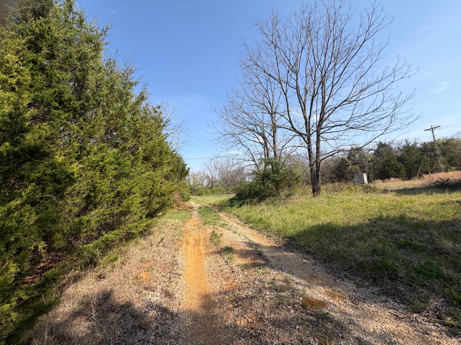Image for Absolute Online Land Auction!  60 Acres+/- Mt. Hope, Alabama
