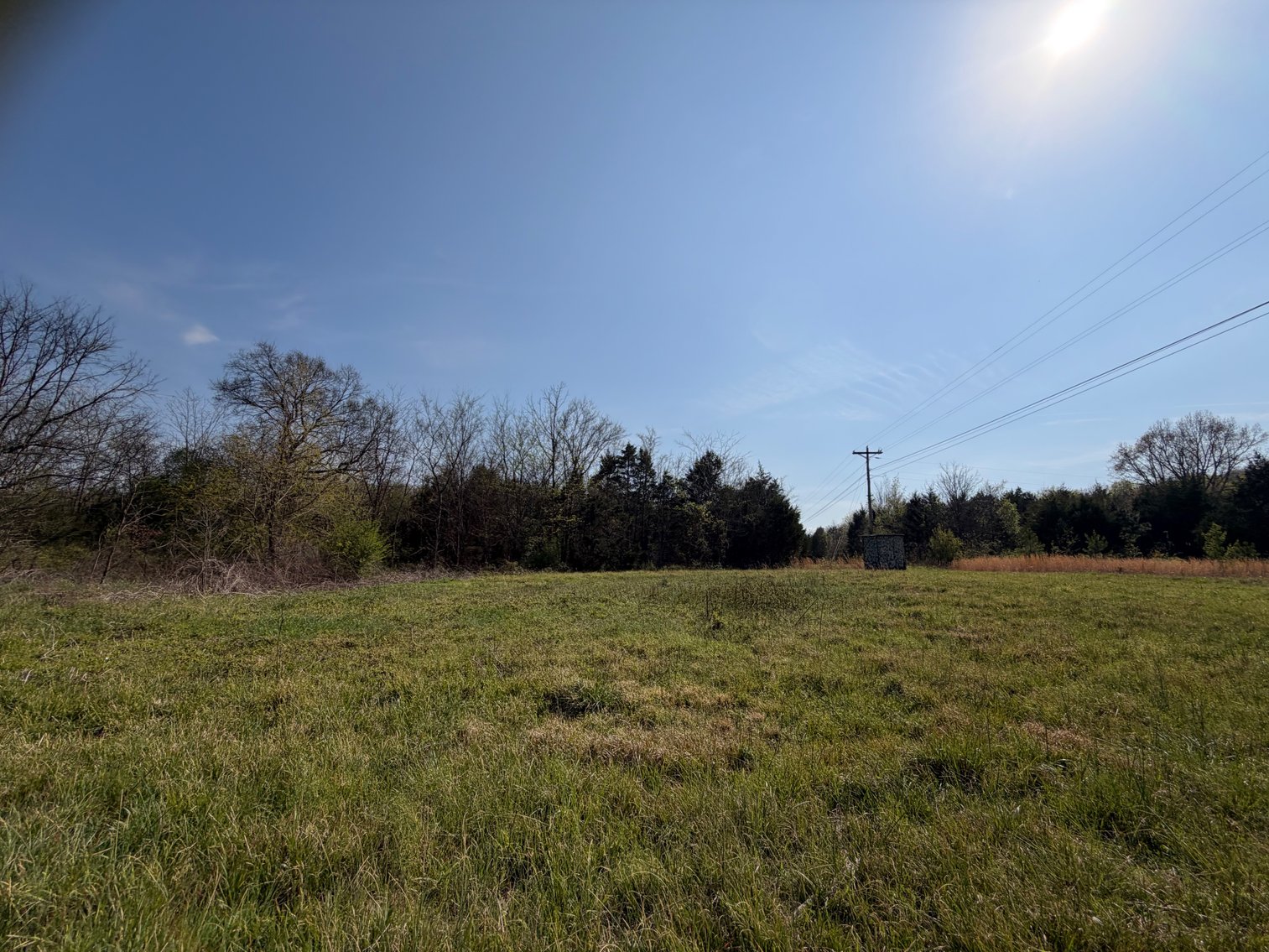 Image for Absolute Online Land Auction!  60 Acres+/- Mt. Hope, Alabama