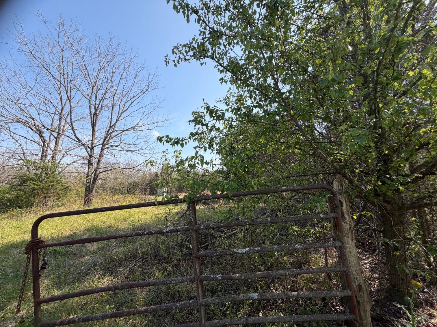 Image for Absolute Online Land Auction!  60 Acres+/- Mt. Hope, Alabama