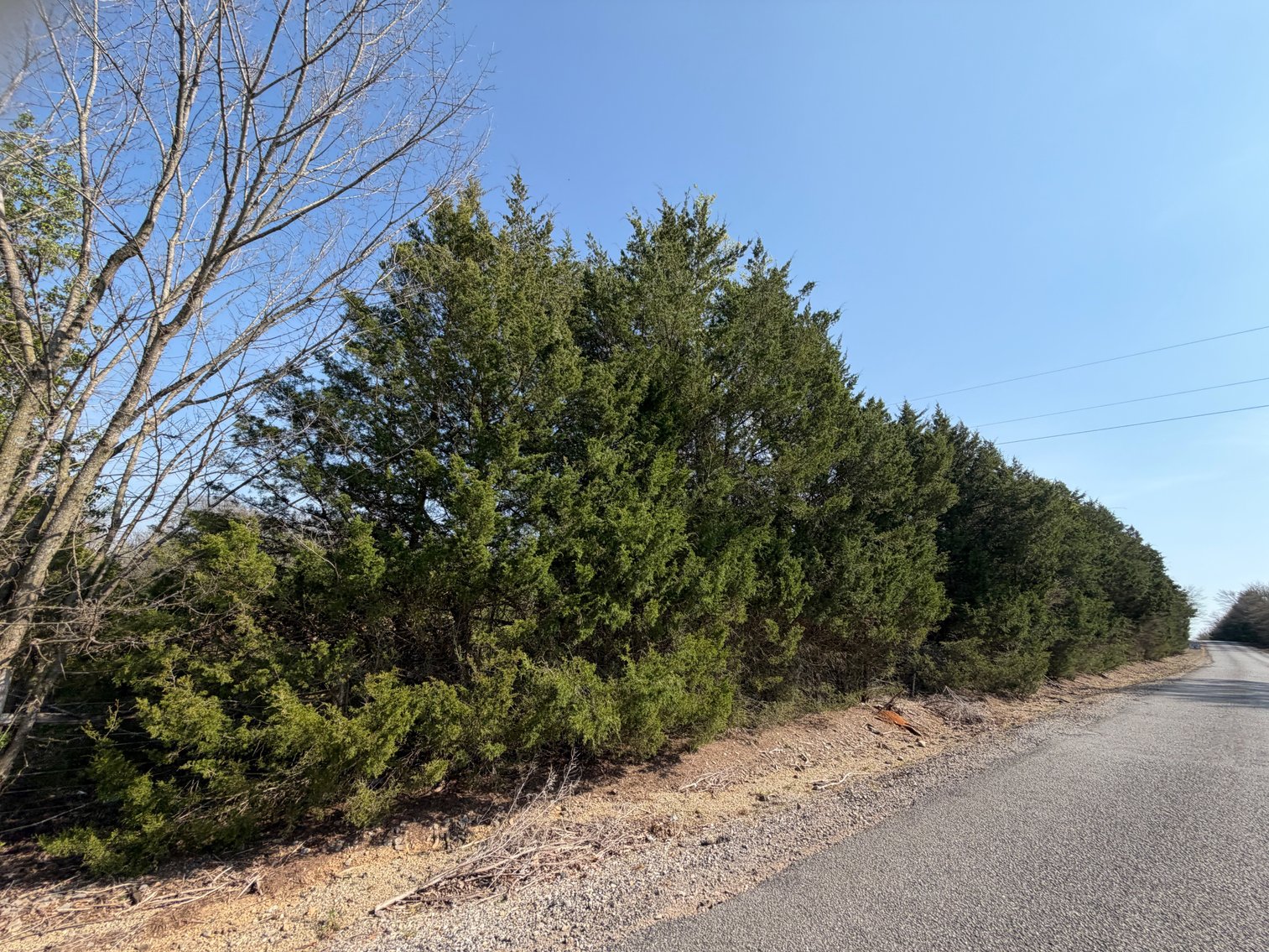 Image for Absolute Online Land Auction!  60 Acres+/- Mt. Hope, Alabama