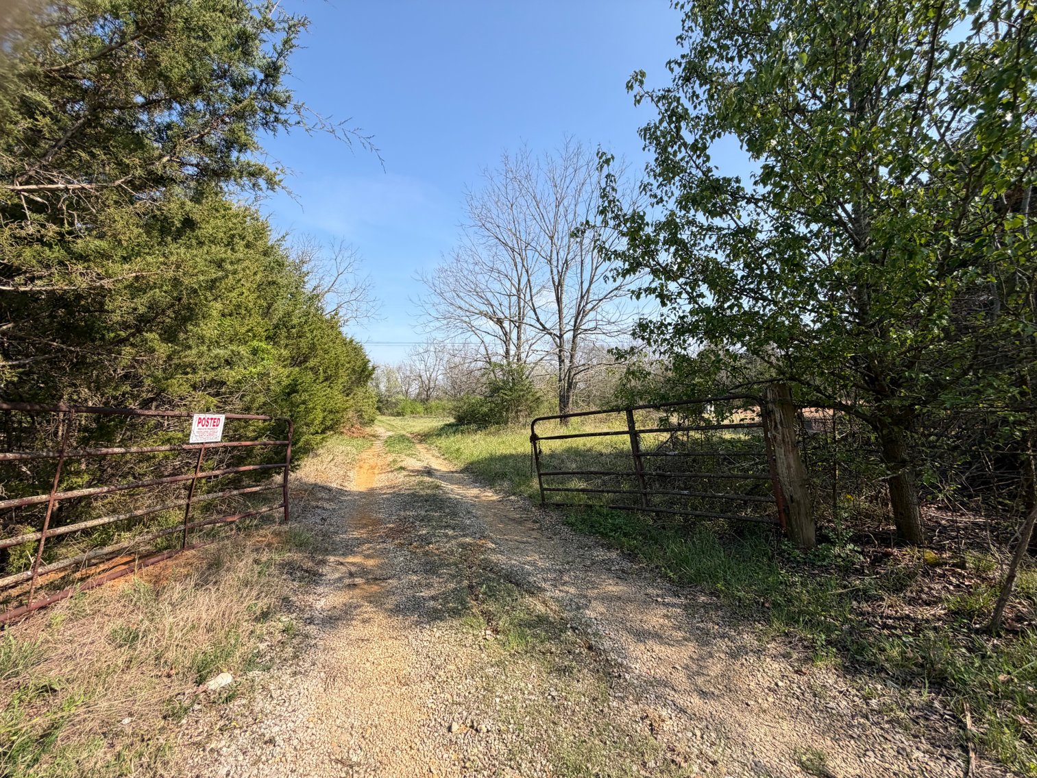 Image for Absolute Online Land Auction!  60 Acres+/- Mt. Hope, Alabama