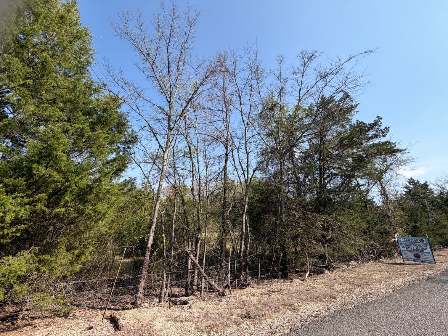 Image for Absolute Online Land Auction!  60 Acres+/- Mt. Hope, Alabama