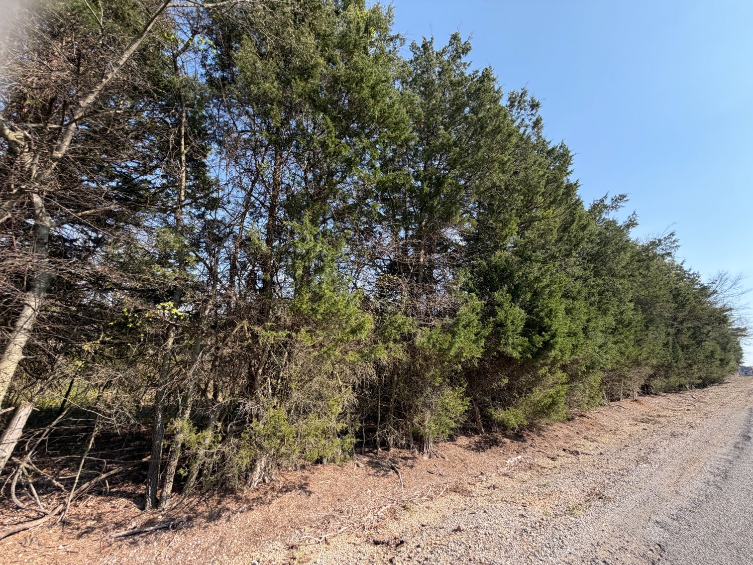 Image for Absolute Online Land Auction!  60 Acres+/- Mt. Hope, Alabama