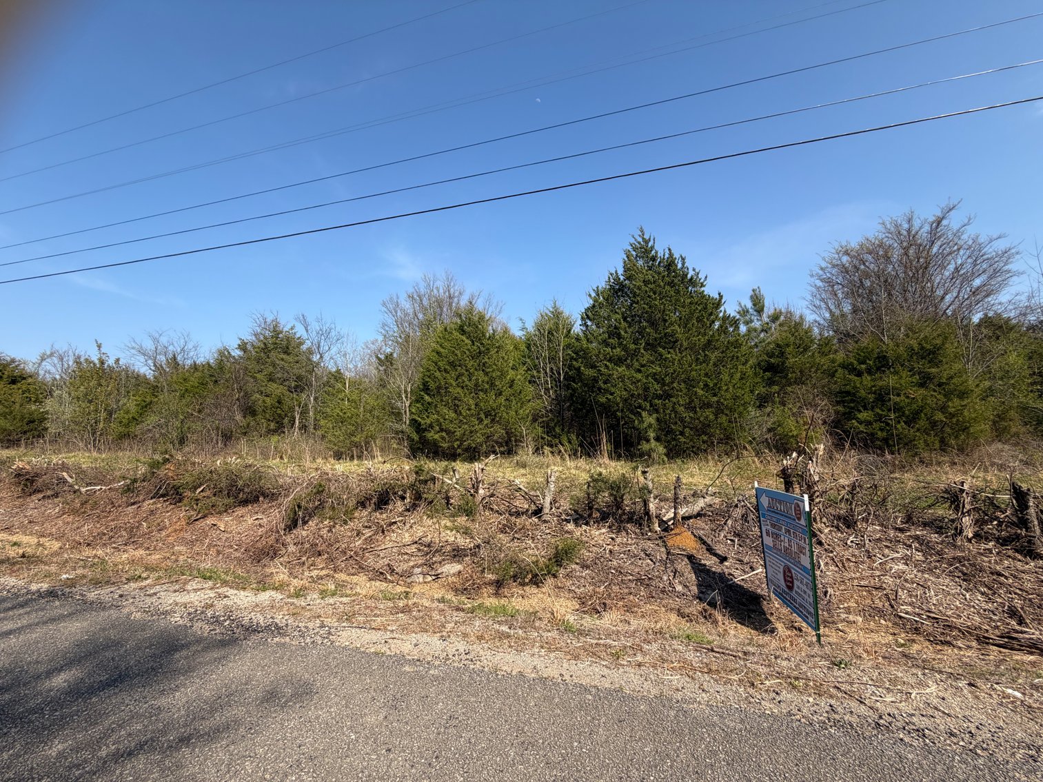 Image for Absolute Online Land Auction!  60 Acres+/- Mt. Hope, Alabama