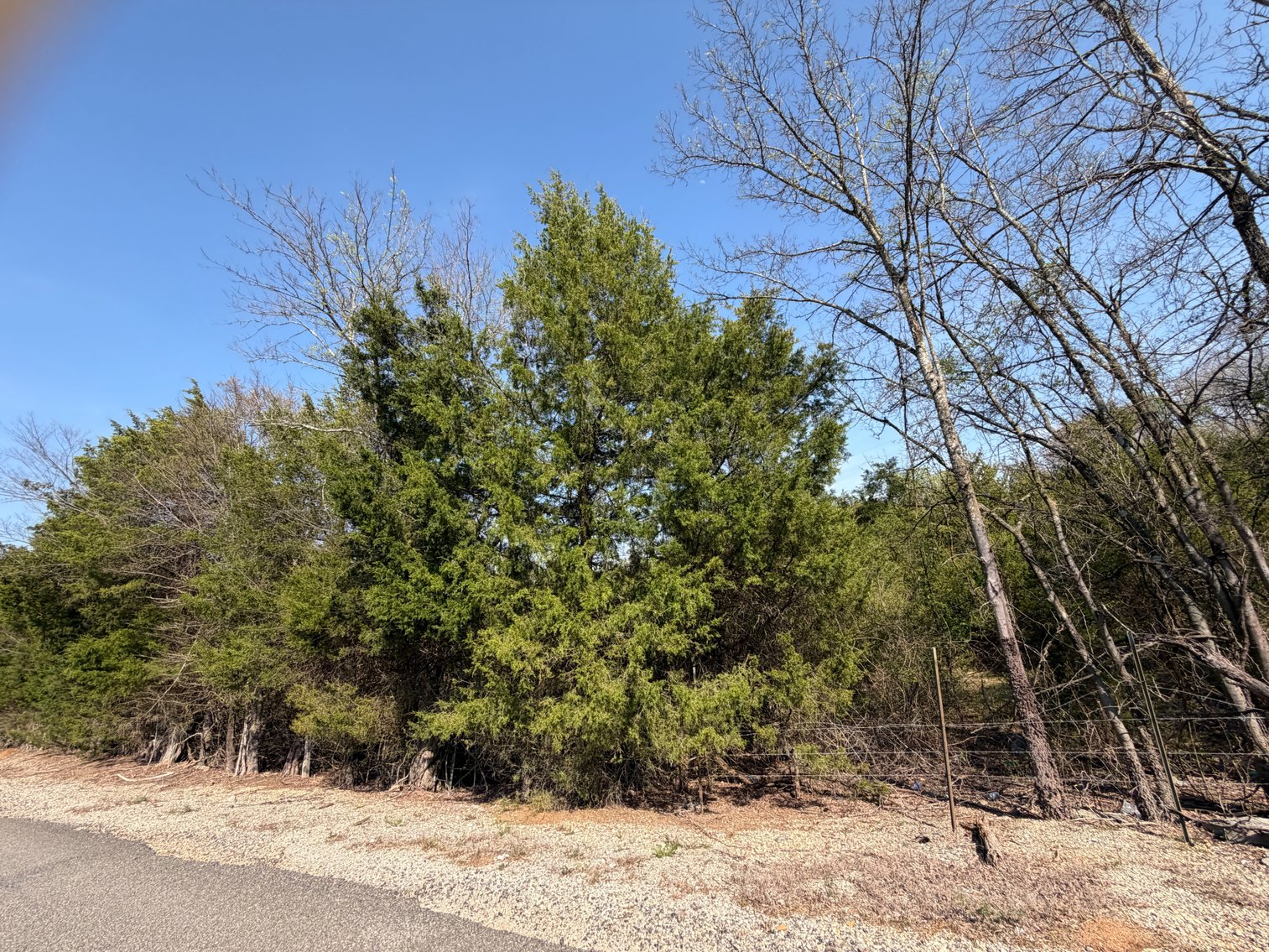Image for Absolute Online Land Auction!  60 Acres+/- Mt. Hope, Alabama