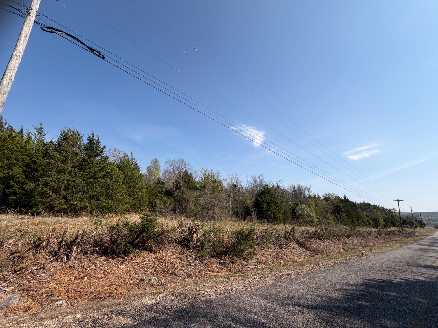 Image for Absolute Online Land Auction!  60 Acres+/- Mt. Hope, Alabama