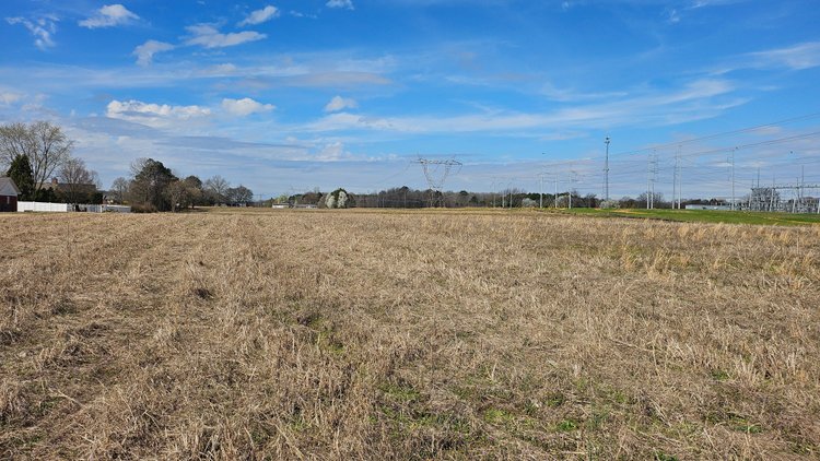 Image for Online Land Auction • 13.78 Acres+/- in East Limestone in 2 Tracts