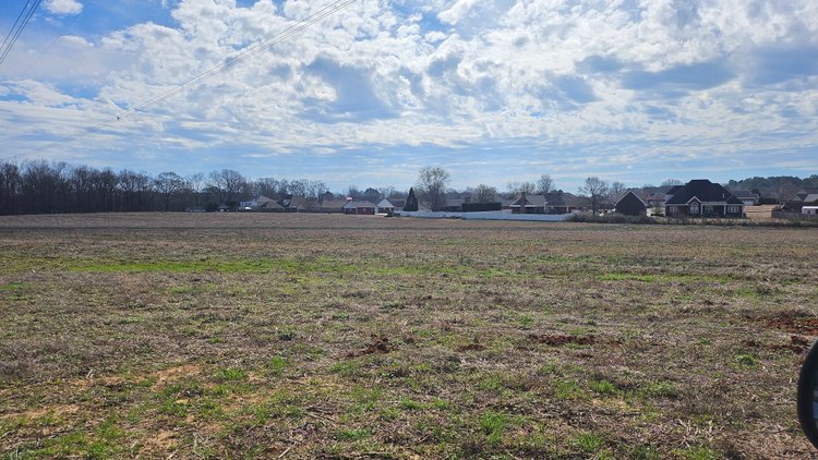 Image for Online Land Auction • 13.78 Acres+/- in East Limestone in 2 Tracts
