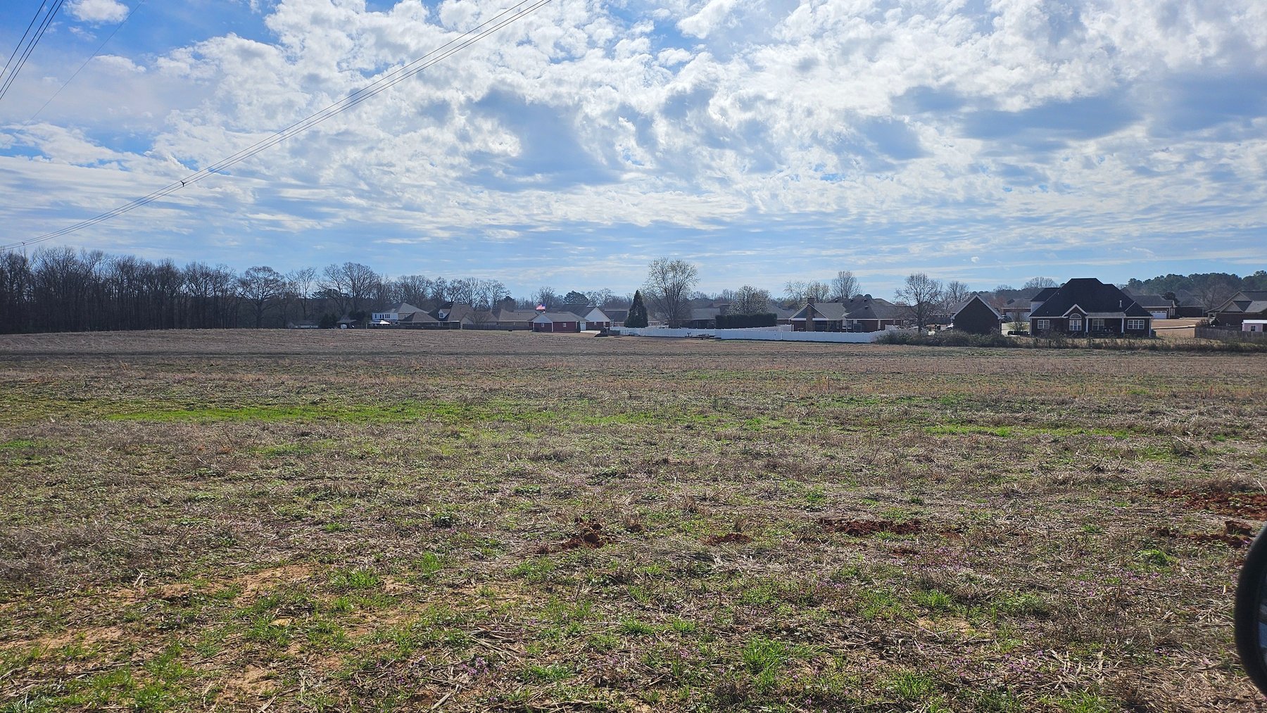 Image for Online Land Auction • 13.78 Acres+/- in East Limestone in 2 Tracts